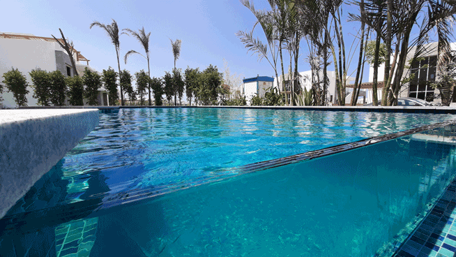 PZone-custom-swimming pools